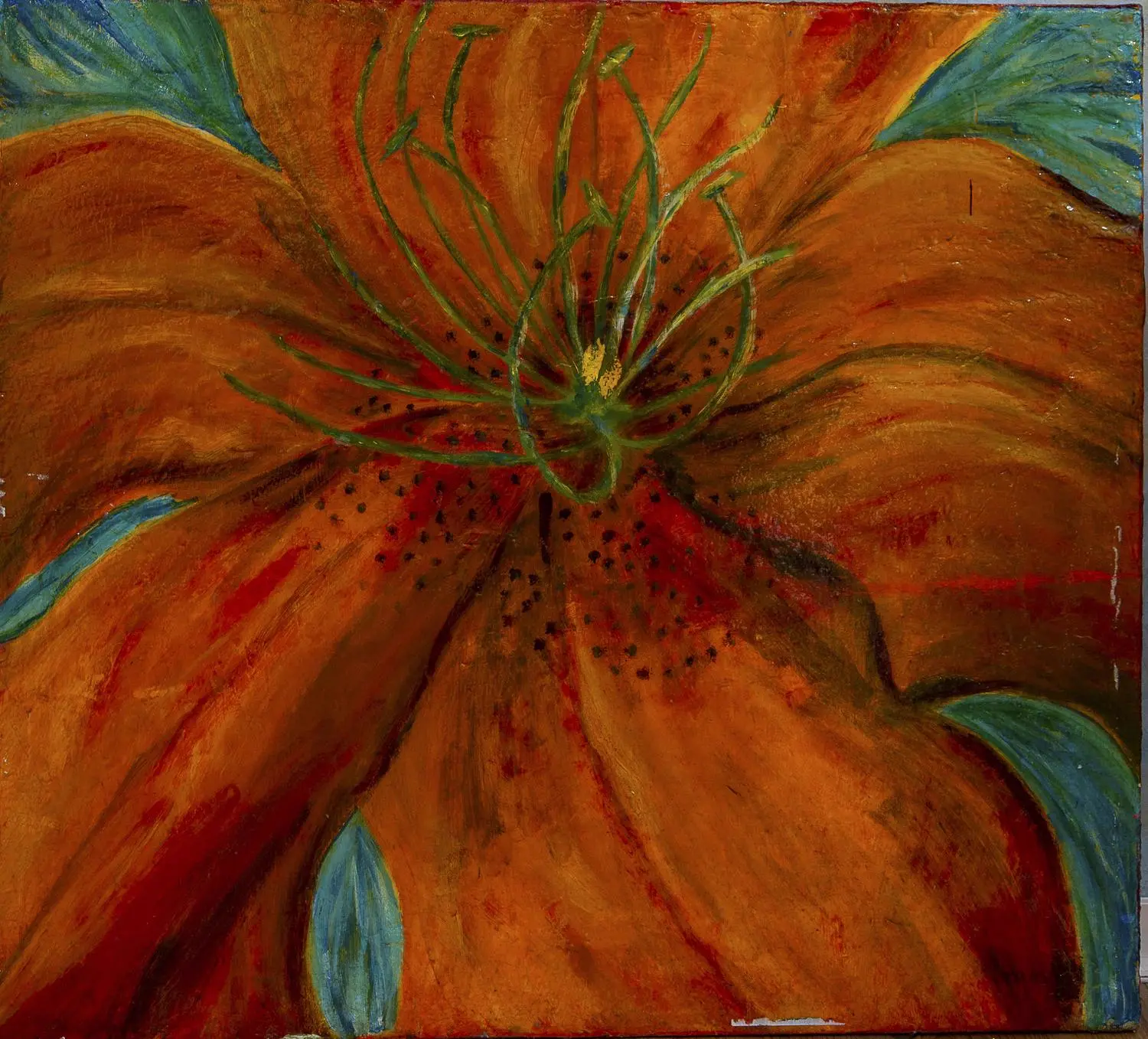 Bloom
